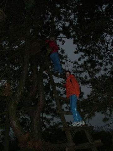 DSCF8290 (Medium)